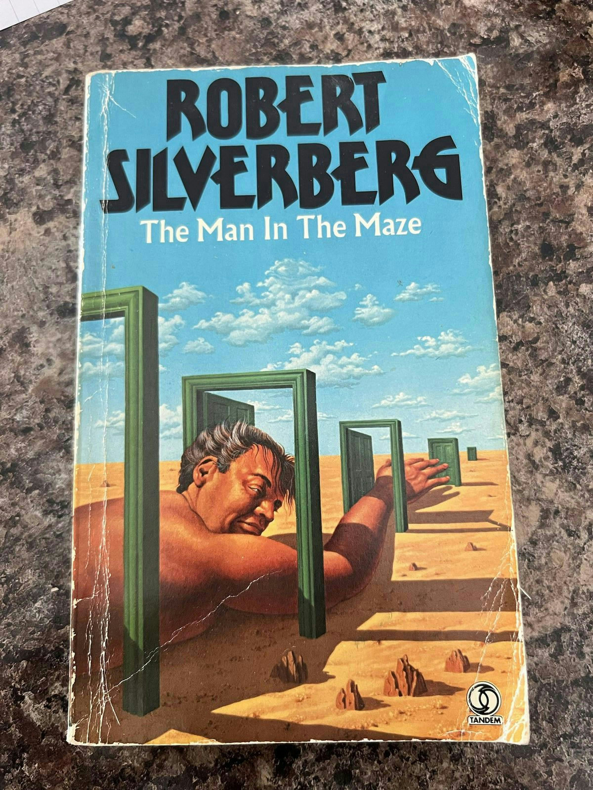Cover of The Man in the Maze