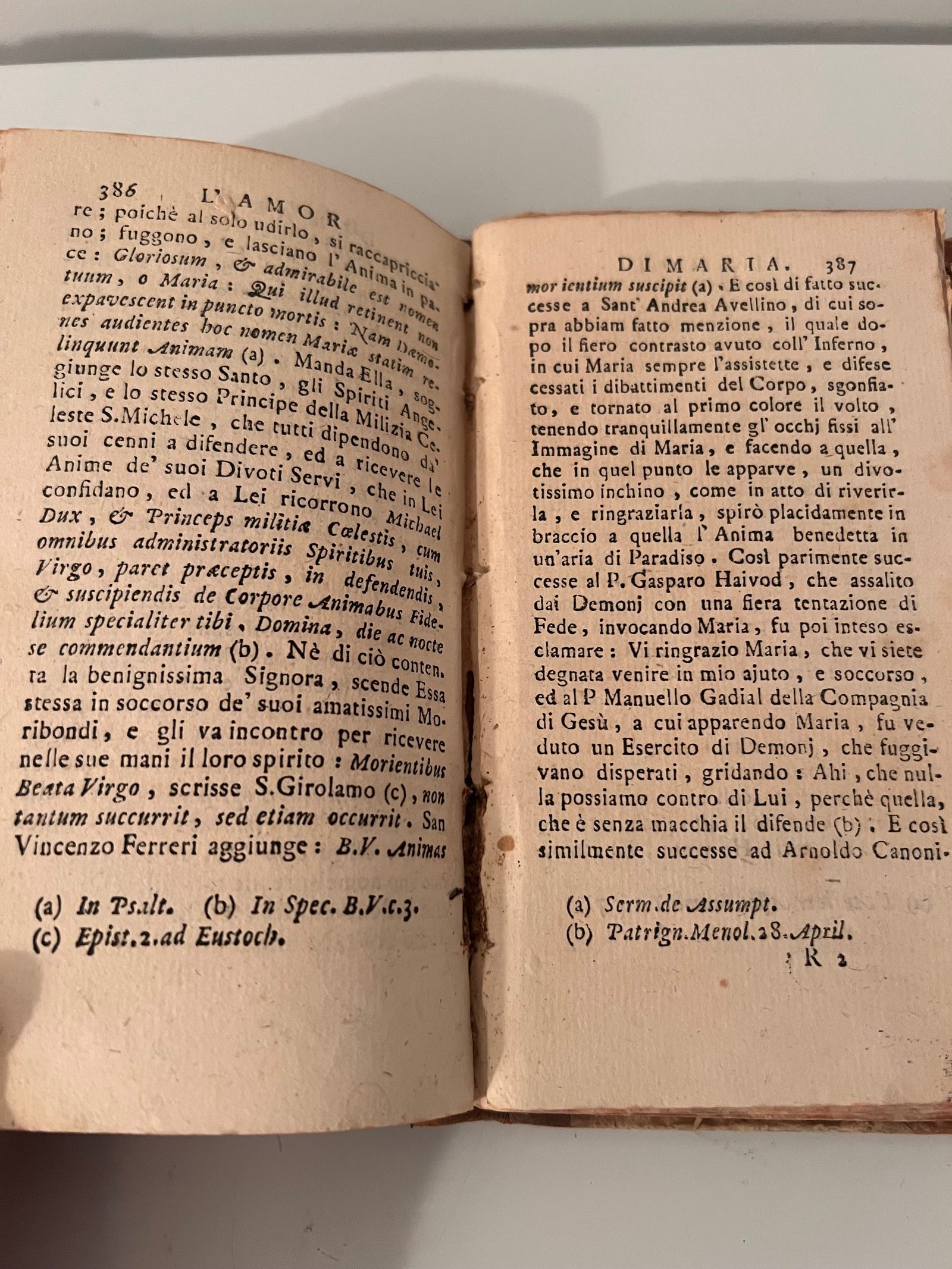 Cover of L'Amor di Maria, ovvero motivi più efficaci all'amor di Maria Santissima Madre di Dio