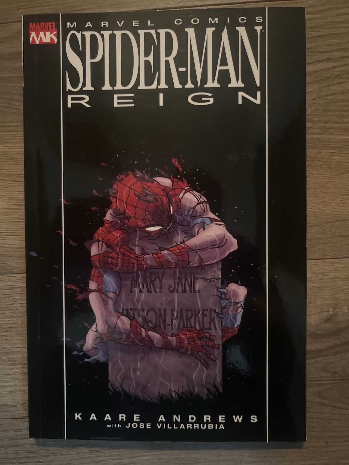 Cover of Spider-Man: Reign TPB