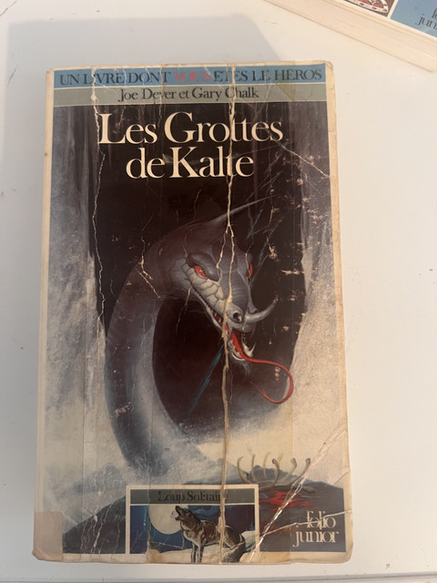Couverture de LES GROTTES DE KALTE (LOUP SOLITAIRE 03)